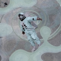 Black Hole Love (Acoustic) - Single - Max Frost