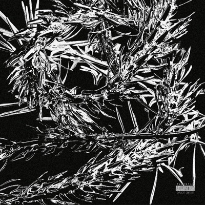 H4RDSYNTH - EP