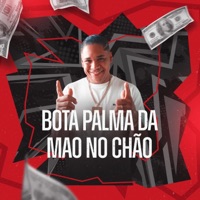 BOTA PALMA DA MAO NO CHÃO (feat. Preto Rico) - Single - DJ JUNINHO ORIGINAL