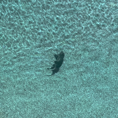 Compilation Fun Volume III