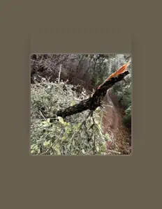 收听 512MANE、观看音乐视频、阅读小传、查看巡演日期等 ！