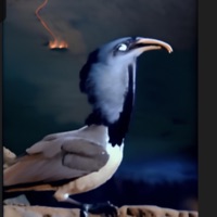 Abashment - Single - egrets