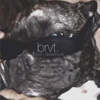brvt. (feat. slump) - Single - highlight bright.