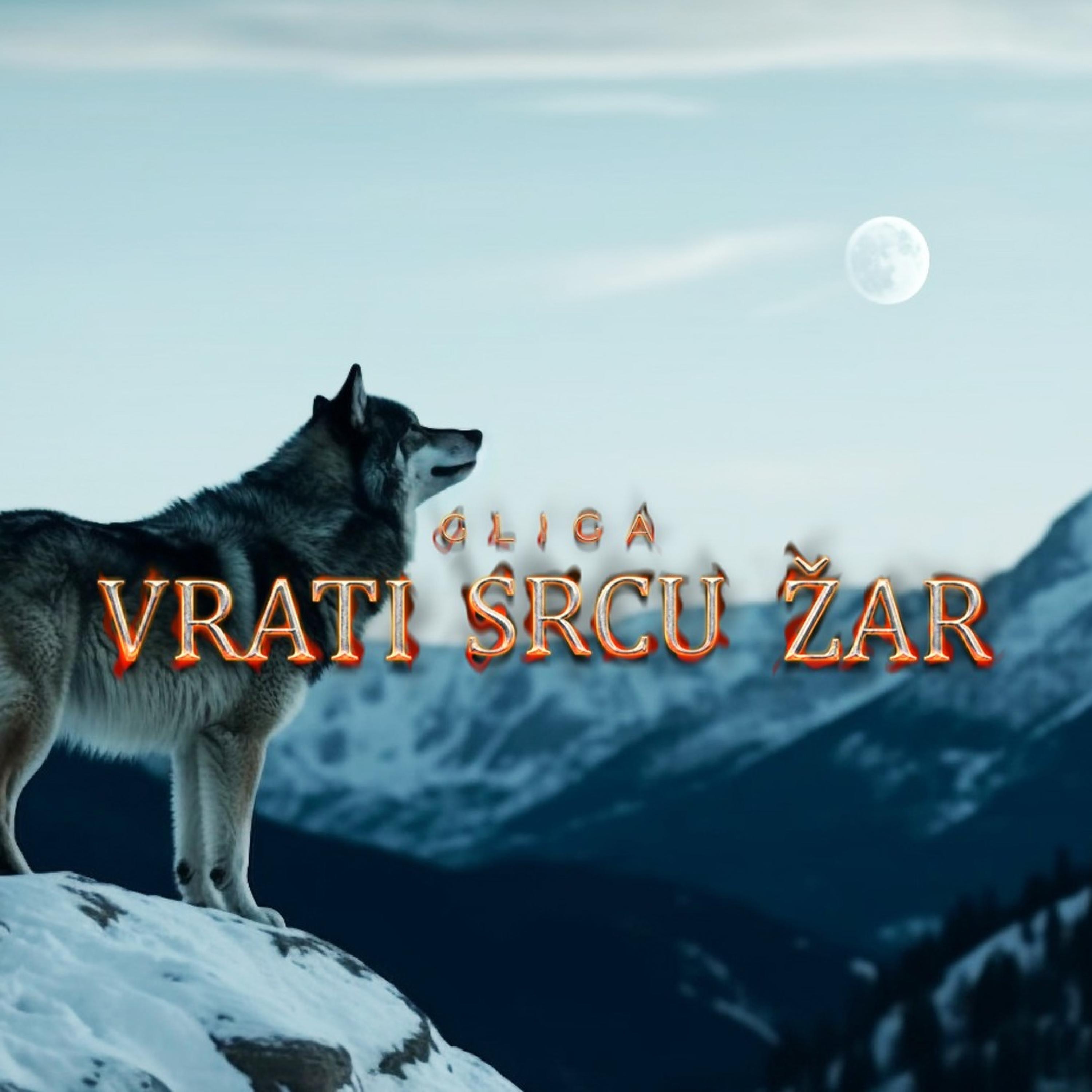 Gliga - Vrati srcu zar
