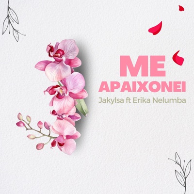 Me Apaixonei (feat. Erika Nelumba) - Single