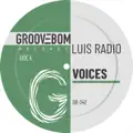 Voices