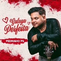 Galega Perfeita - Single - Pedrinho PS
