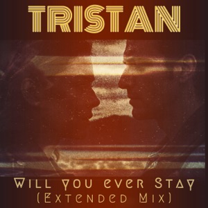 Will You Ever Stay  (Extended Mix) - Single