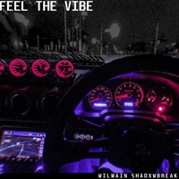 Feel the Vibe - Single - Wilmain & SHADXWBREAK