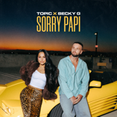 Sorry Papi song art