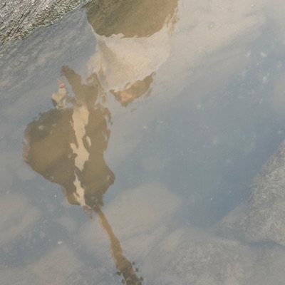 Perdidamente - Single