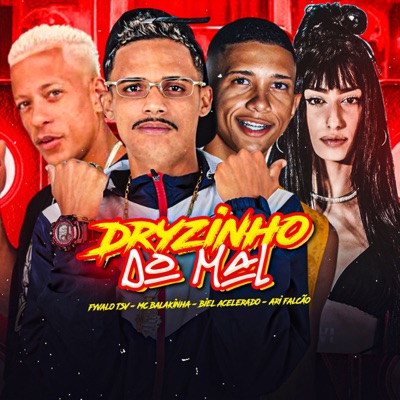 Dryzinho do Mal (feat. Ari Falcão) - Single