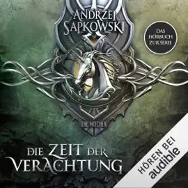 Die Zeit der Verachtung: The Witcher 2