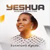 Sunmisola Agbebi - Yeshua (Worship Rendition)