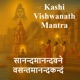 Kashi Vishwanath Jyotirling Mantra स नन दम नन दवन वसन तम नन दकन दम Divine Chant Audio Single