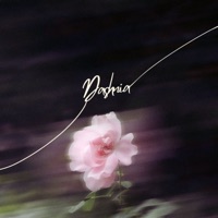 Dashnia - Single - Naldi