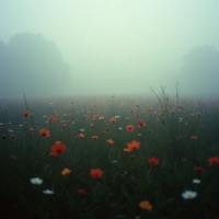 intro of life - Single - mawhyes