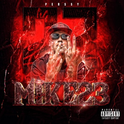 MIKE 23 - Single