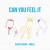 Can You Feel It - Single