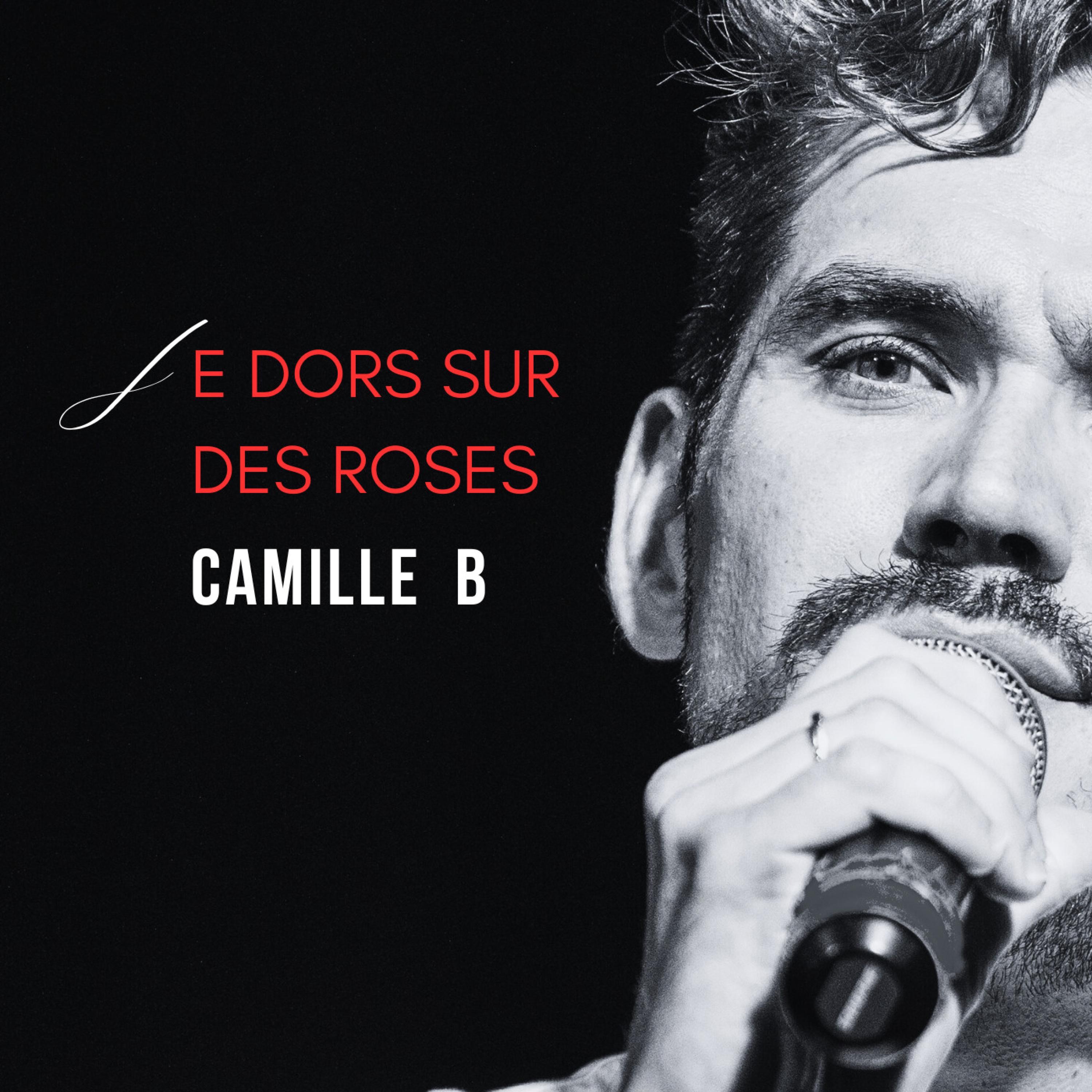 Je dors sur des roses - Single