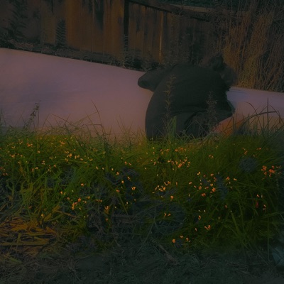 and My Flesh became The Land - EP