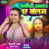 Pakaudi Khal Ye Balam - Single - Shilpi Raj & Vinay Virat