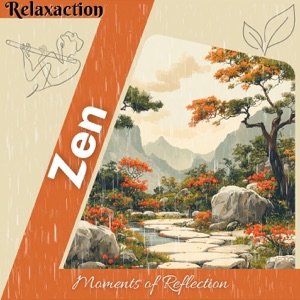 Zen Moments of Reflection