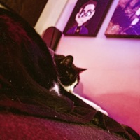 allmine - Single - BNVLNT