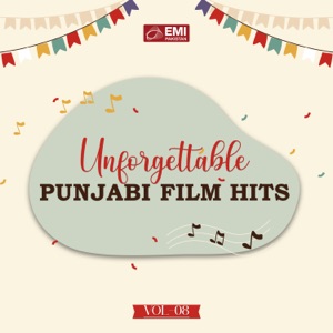Unforgettable Punjabi Film Hits, Vol. 08