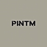 Pintm - Single - Bobby's Soul