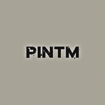 Pintm - Single