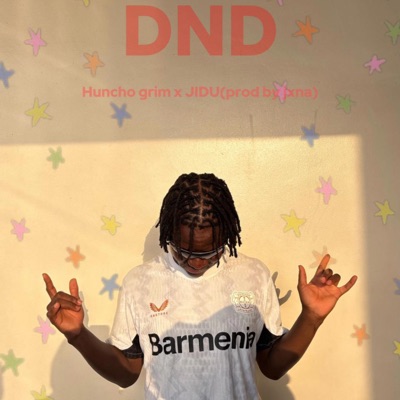 DND (feat. JIDU) - Single