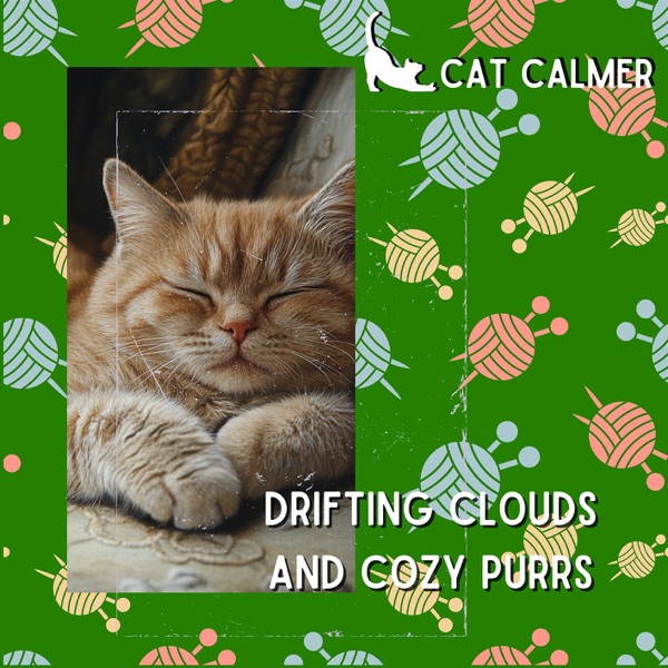 Drifting Clouds and Cozy Purrs