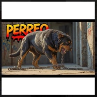Perreo (feat. Katalino) - Single - Lamento