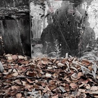 Одновременно - Single - merfour