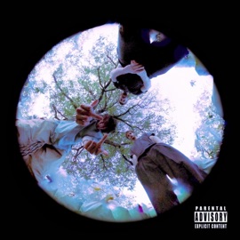 Glavobol (feat. Jush, VAN€ & Disloc8) Megla Collective