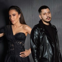 Salıncak - Single - Alaaddin Ergün & Feryal Sepin