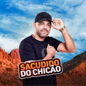 Sacudido do Chicão