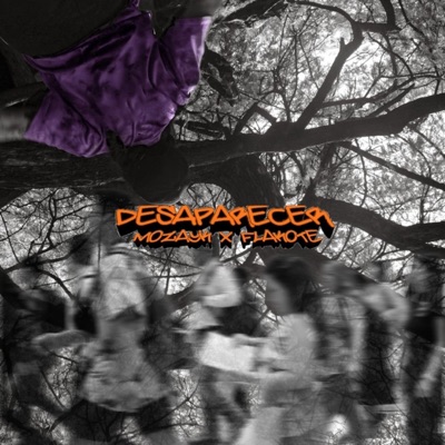 Desaparecer (feat. Flakote) - Single
