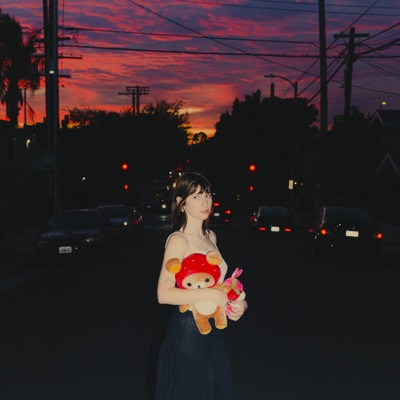 Anthems for a Seventeen Year‐Old Girl - Single