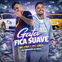Gata Fica Suave - Single - MC FEH, Mc Lima & DJ Guita