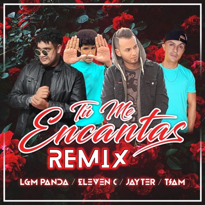 Tú Me Encantas (feat. Tiam, Eleven C & LGM Panda) [Remix] - Single