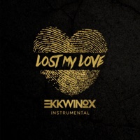 Lost My Love (Instrumental) - Single - Ekkwinox