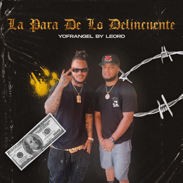 LA PARA DE LOS DELINCUENTES