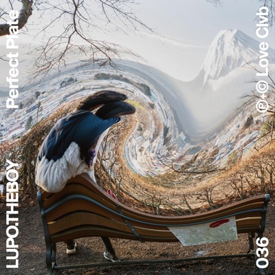 Perfect Plate - Single