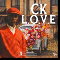 L.O.V.E (feat. CK) - Single - W.T.P