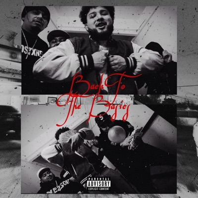 Back To the Basics (feat. Rob Raccs & Boi Rich) - Single