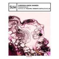 Pandemonium - Nick Hanzo & Ludviq