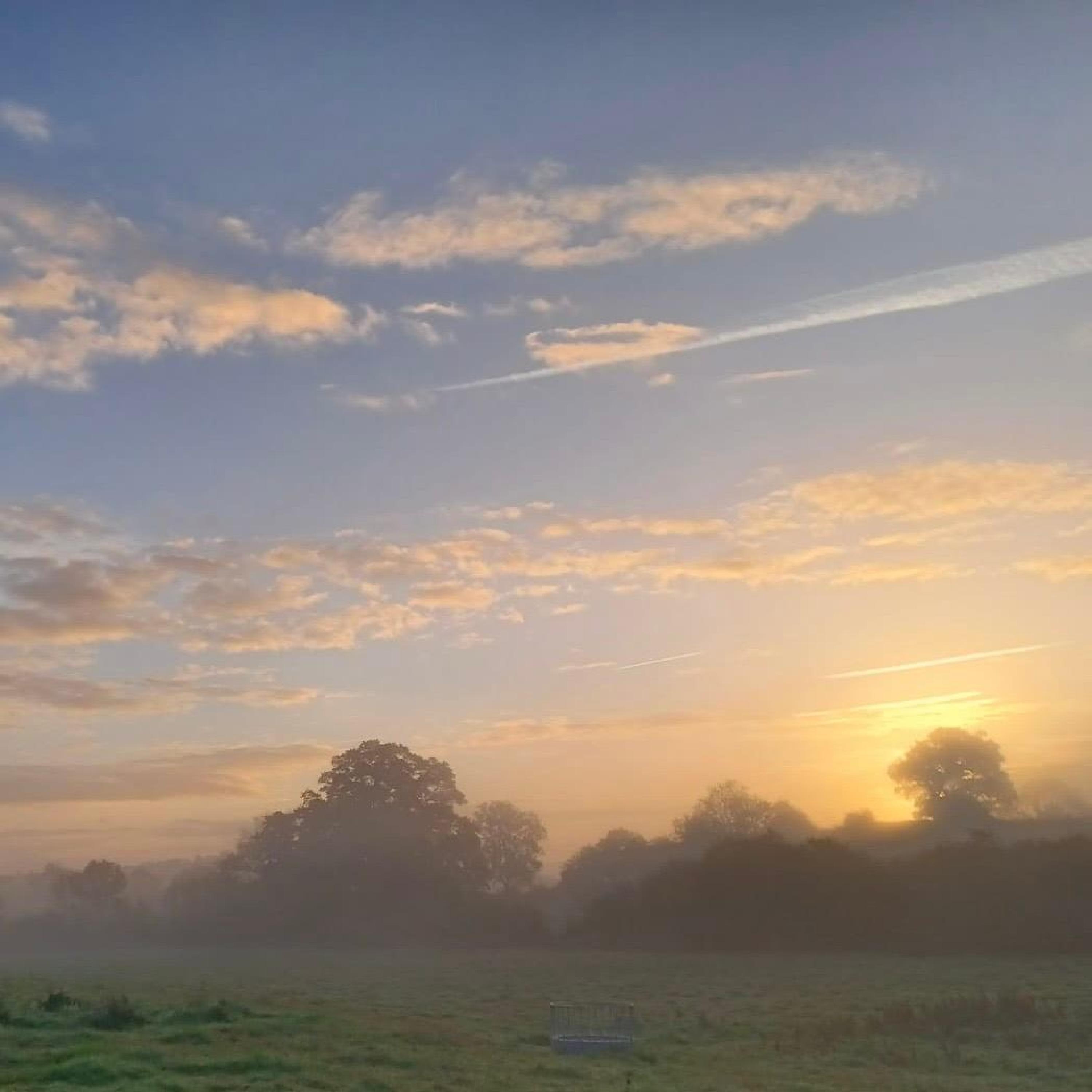 Long Live The Light - Single