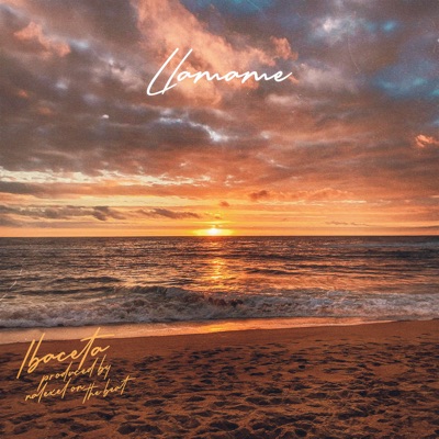 Llamame (feat. Nalexel On The Beat) - Single